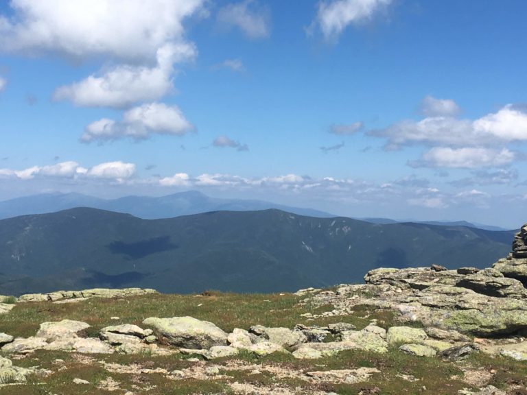 Your First Appointment