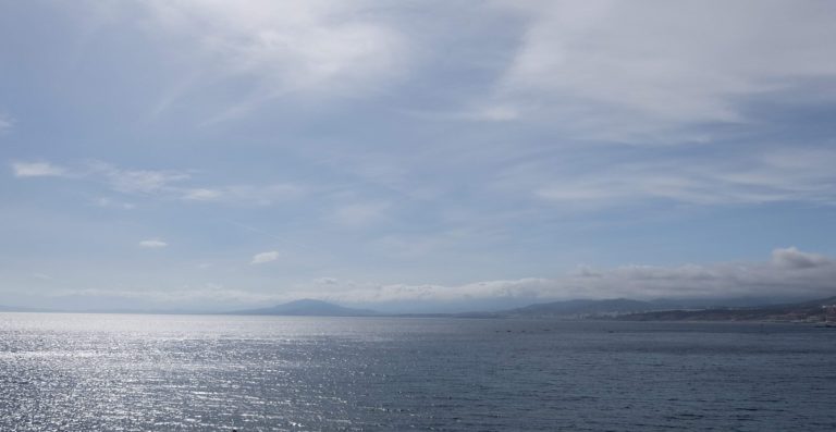 Your Group Therapy Experience