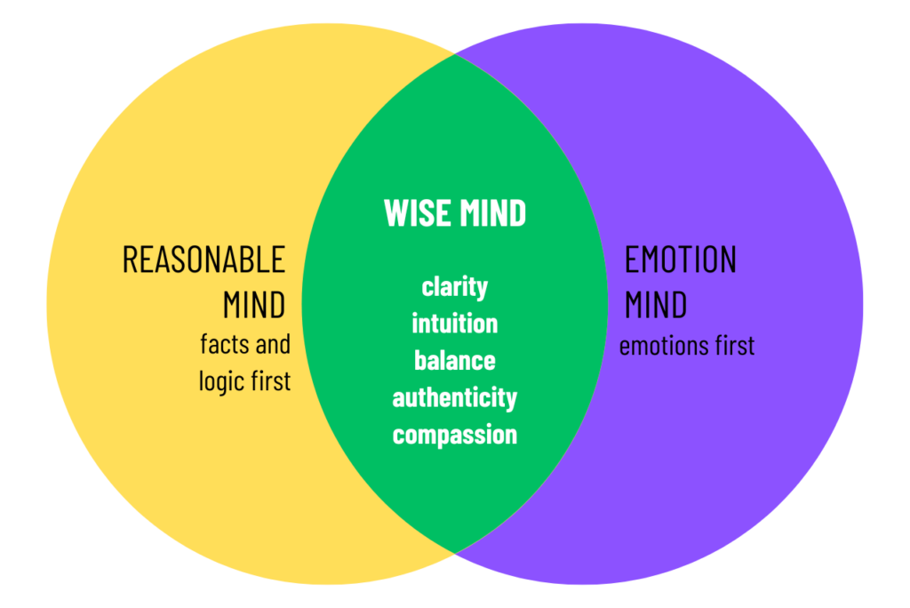 intersecting venn diagram explaining wise mind in dbt