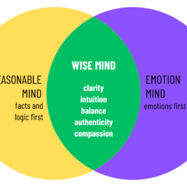 intersecting venn diagram explaining wise mind in dbt