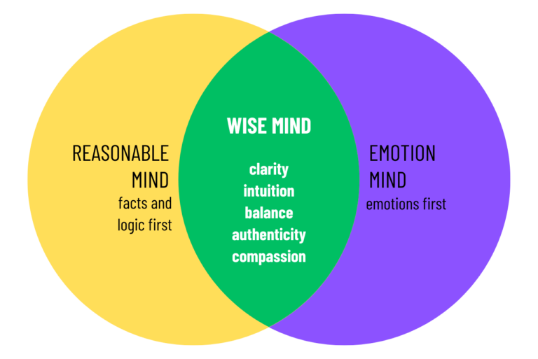 The WISE MIND Technique in DBT